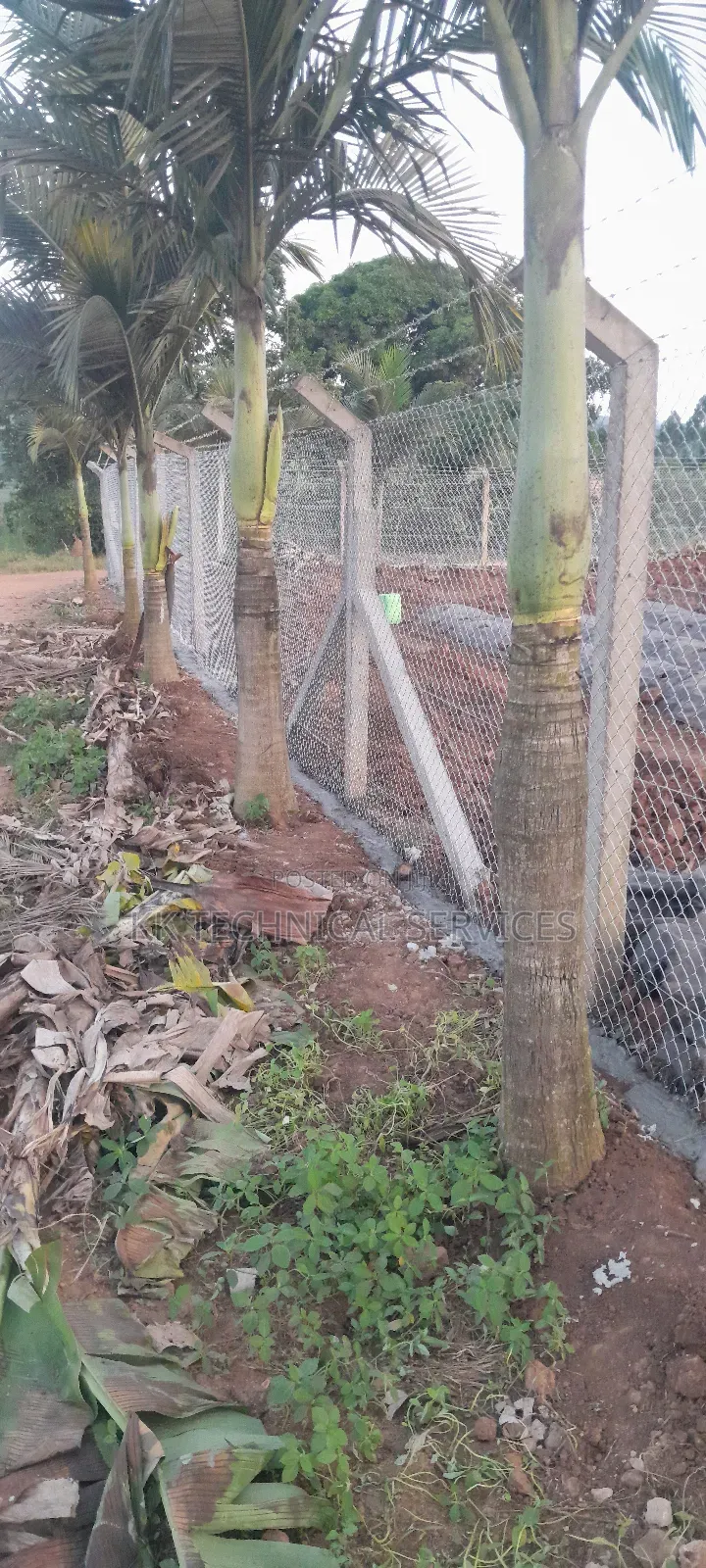 Chain Link Fences