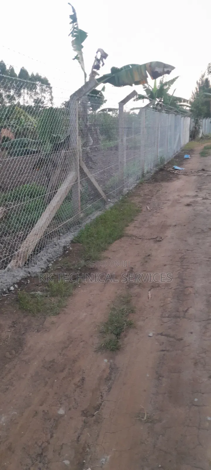 Chain Link Fences