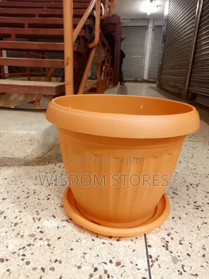 Plant Pot.