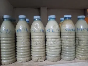 Pure Ugandan Edible Shea Nut Oil