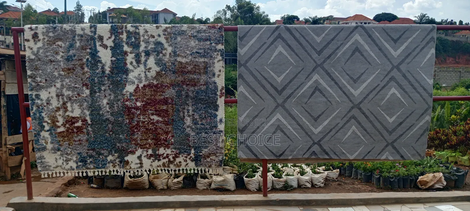 Expert Carpet Cleaning Services for a New Look