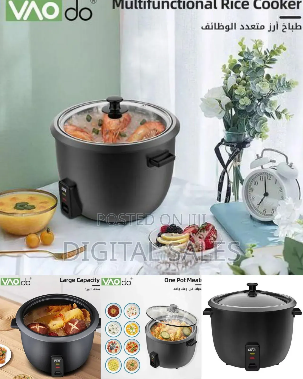 Winningstar Electric Rice Cooker
