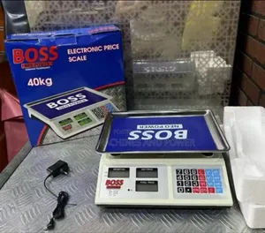 Electronic Computing Scale
