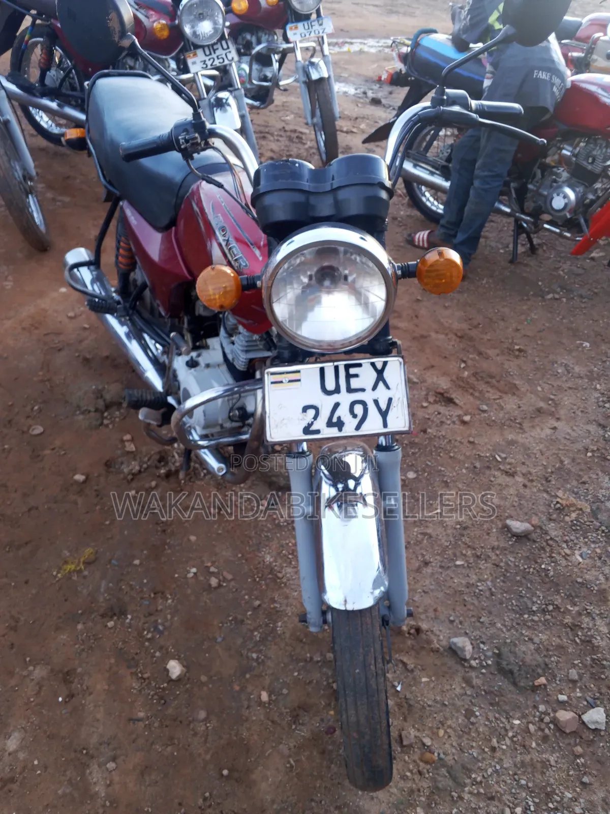 Bajaj Boxer 100 2020 Red