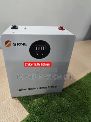 2.5kwh 12v Srne Lithium Iron Phosphate Battery