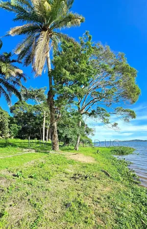 Land for Sale Kawuku Bugiri 650m Ugx)