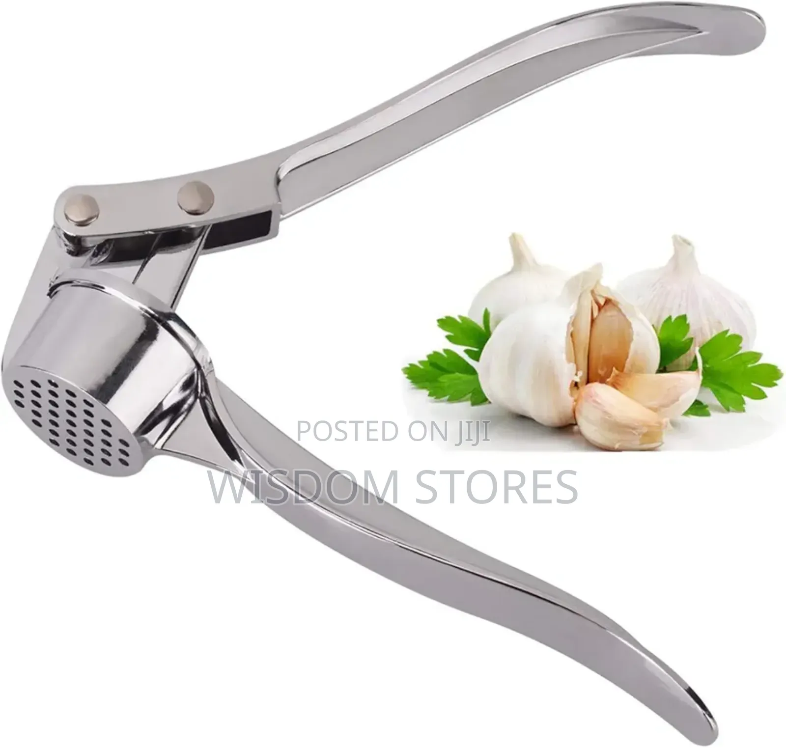 Professional Kitchen Garlic Press