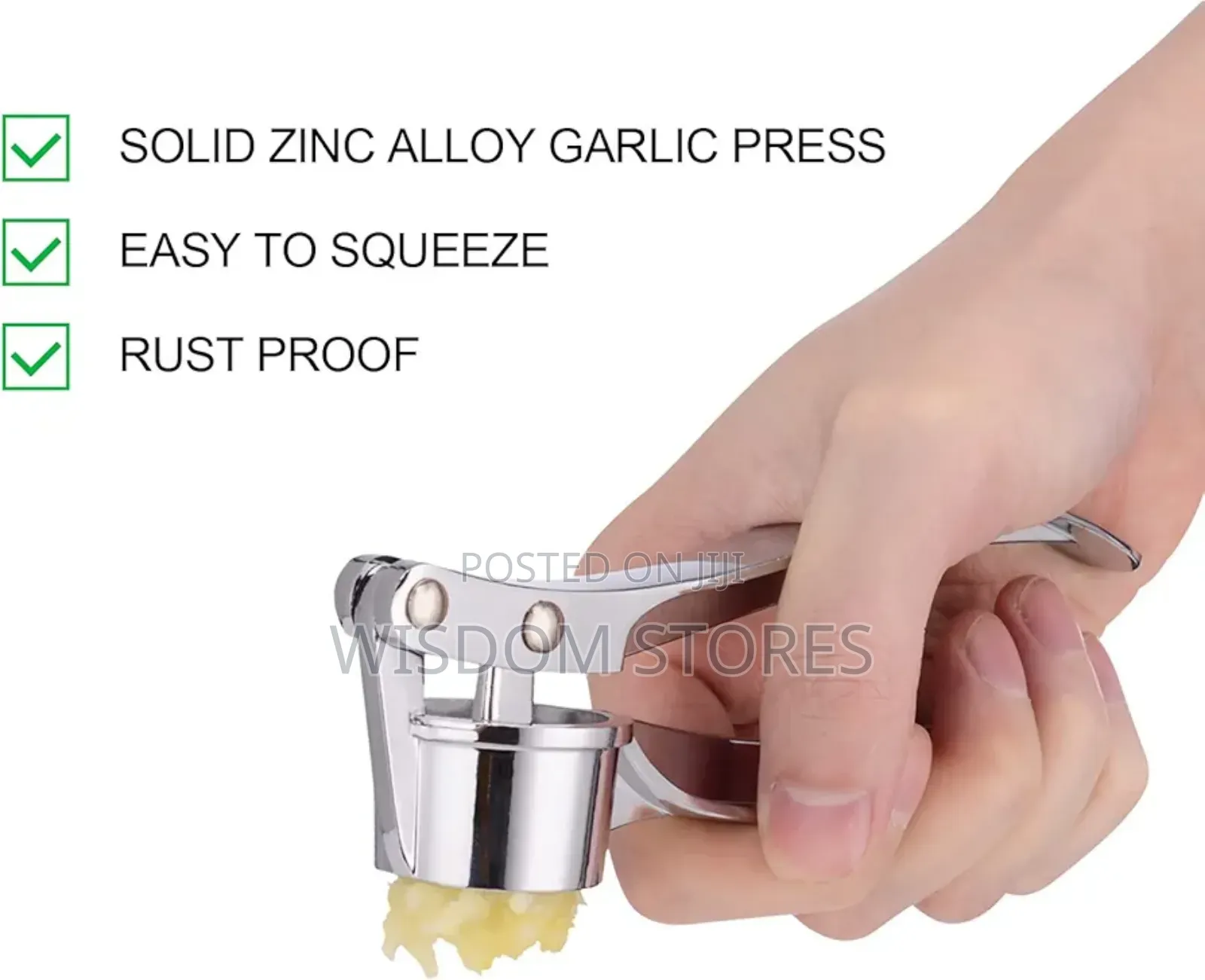 Professional Kitchen Garlic Press