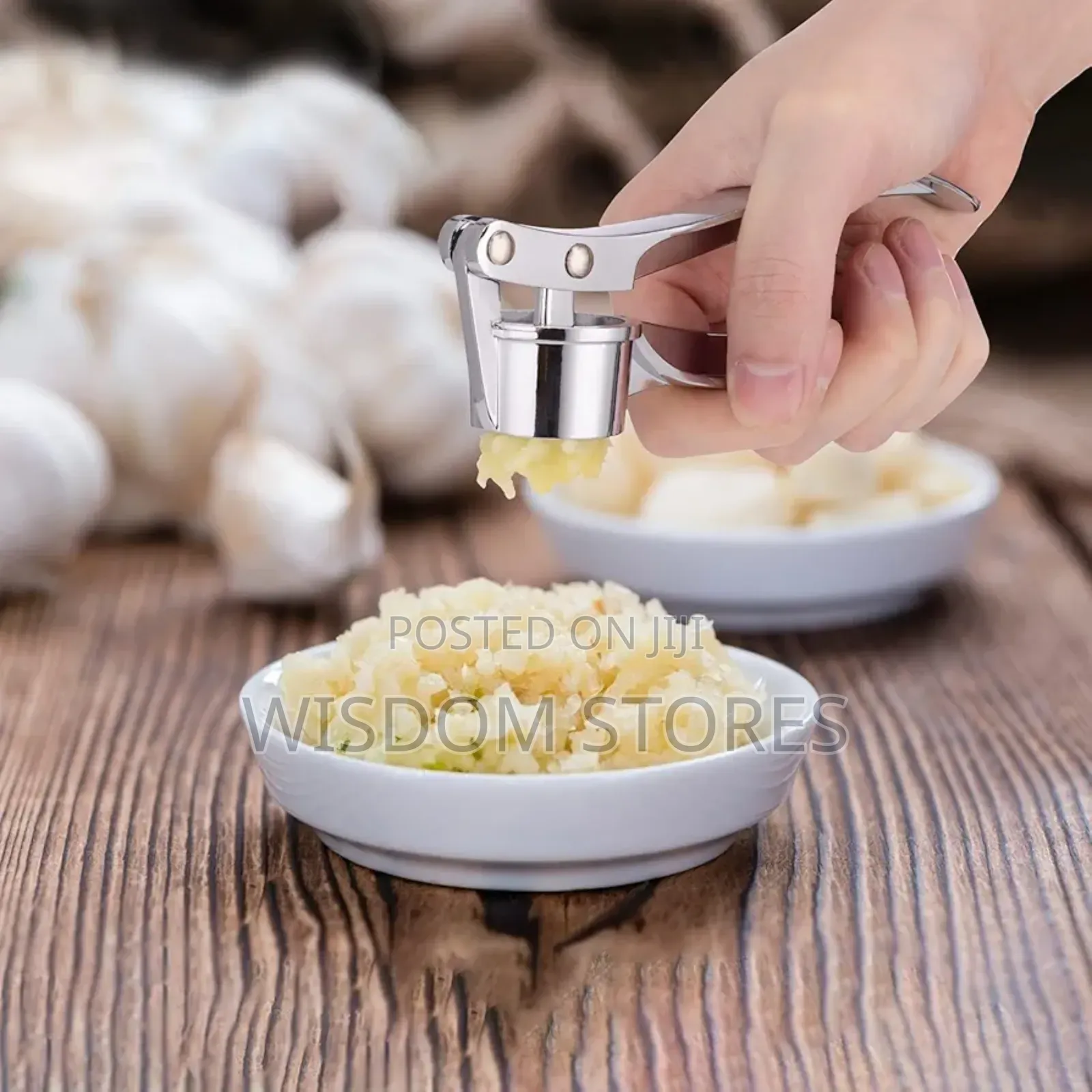 Professional Kitchen Garlic Press