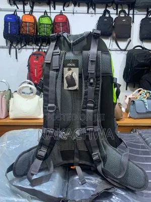 Its a Travel Back Bag