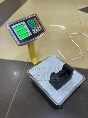 Portable Platform Weighing Scale 100kg Weigh Accurate Weighing Scale