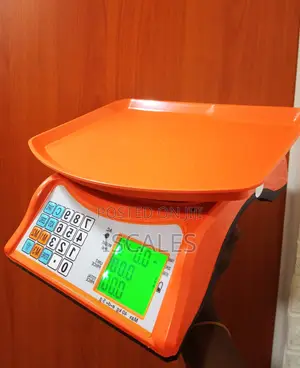 Shop Weighing Scale 40kg Weigh Simple Electronic Weighing Scale