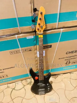 Electric Guitars
