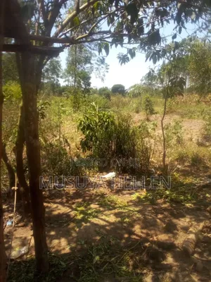 Farm Land for Sale