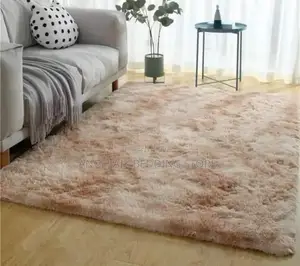 Luxury Living Room Smooth Carpets