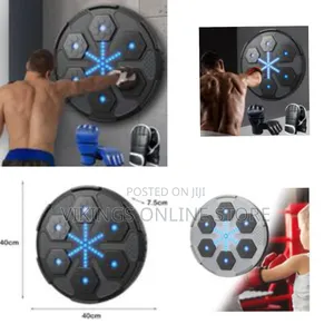 Boxing Machine for Home Wall Mount Bluetooth Music Electronic Boxing