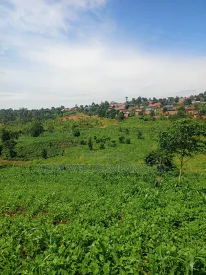 18 Acres of Land in Mbalala Mukono