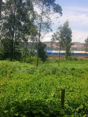 11 Acres of Land in Mbalala Mukono