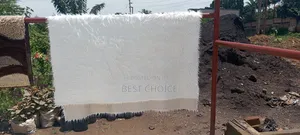 Expert Carpet Cleaning Services for a Clean Space and Happy Place