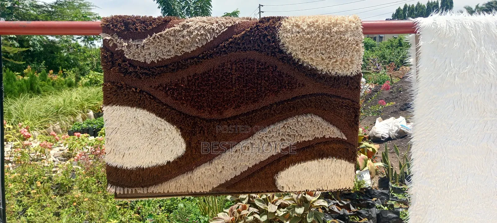 Expert Carpet Cleaning Services for a Clean Space and Happy Place