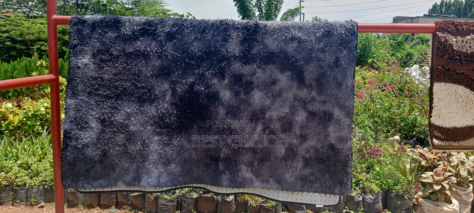 Expert Carpet Cleaning Services for a Clean Space and Happy Place