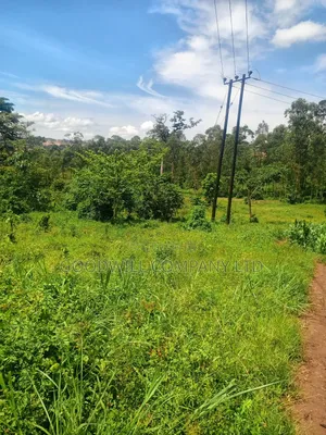 2 Acres of Land in Mbalala Mukono With 3phase Electricity on Ground