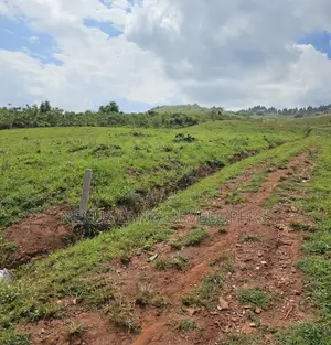 Nakawuka Estate