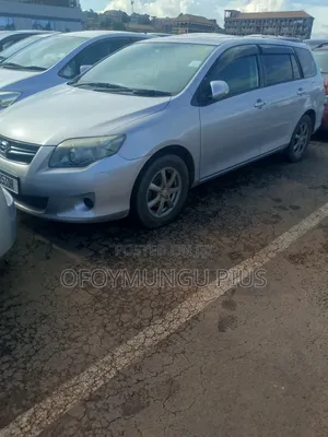 Toyota Corolla Fielder 2010 Silver