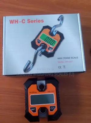 Electronics Crane Weighing Scales 200kg Weigh Accurate Weighing Scale