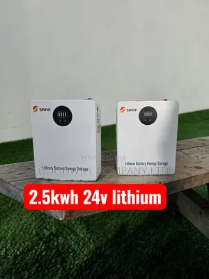 2.5kwh 24v Srne Lithium Battery