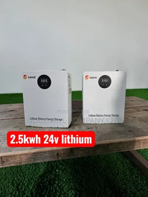 2.5kwh 24v Srne Lithium Battery