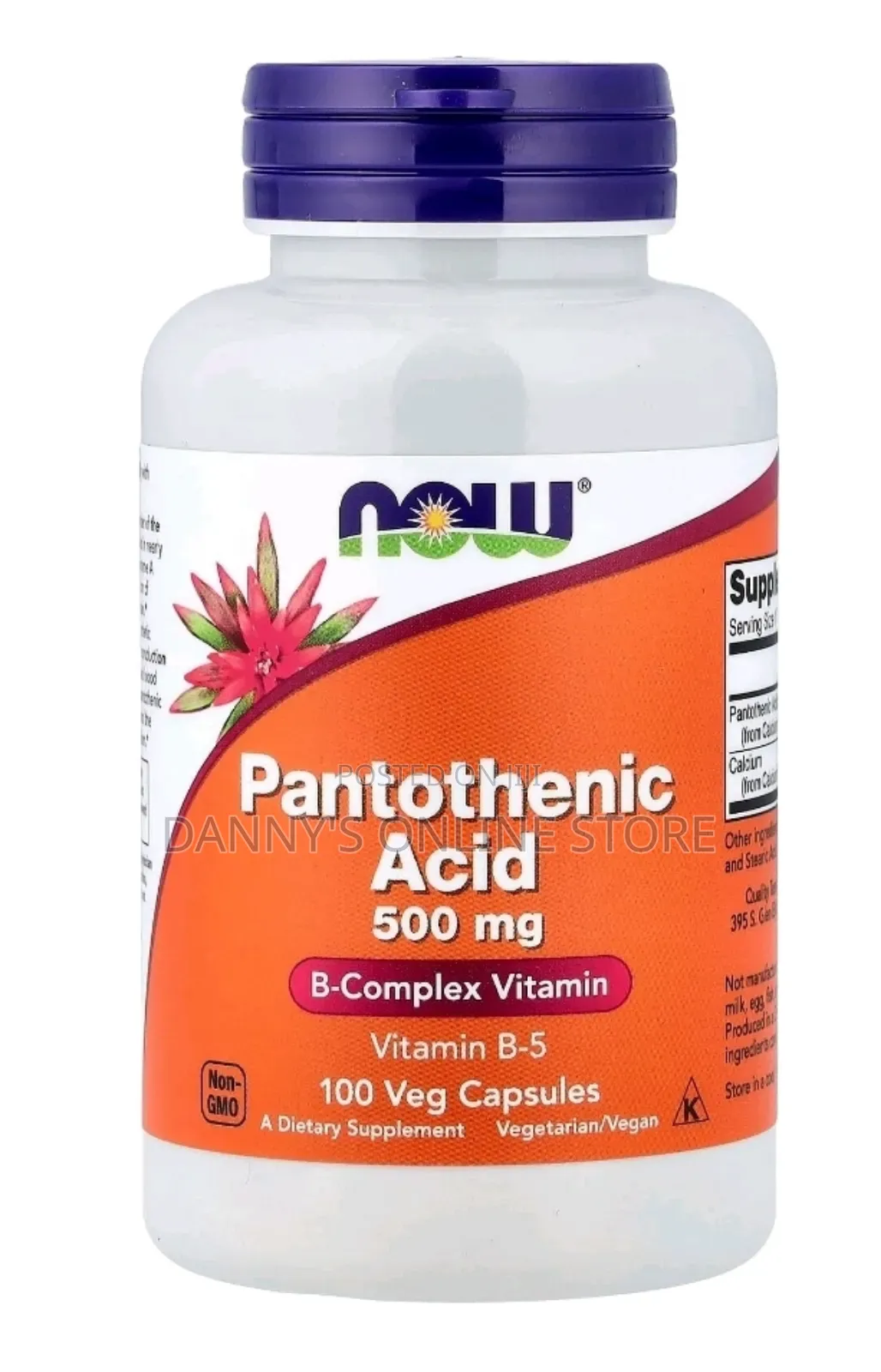 Pantothenic Acid, B-5, 500mg, 100 Veg Capsules