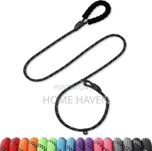 1m Dog Slip Lead