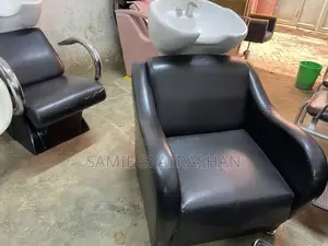 Executive Hair Wash Basin