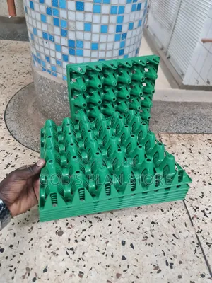 Active Plastic Eggs Trays Plastic Eggs Trays 100pcs