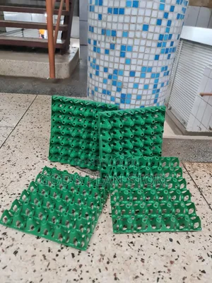 Active Plastic Eggs Trays Plastic Eggs Trays 100pcs