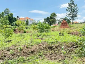 4 Acres of Land for Sale Located in Kira at 300m Per Acre Private Mailo