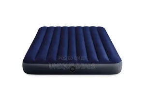 Intex 5x6 Inflatable Air Mattress