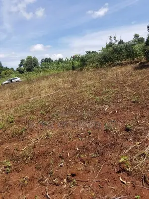 A Plot of Land 50by100 in Mpigi