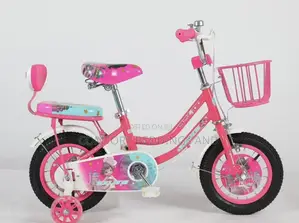 Carrier Kids Bicycle Pink 1 to 9 Years