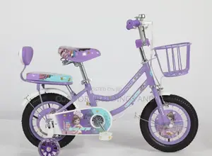 Carrier Kids Bicycle Purple