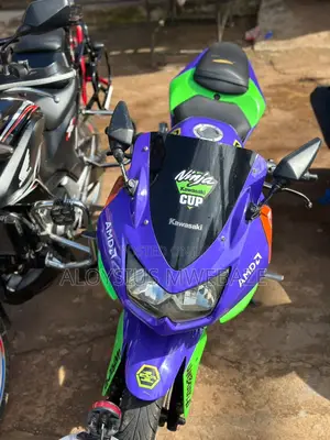 Kawasaki EX250 2010 Green