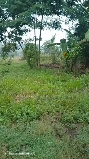 Half an Acre 4 Sale in Buwambo