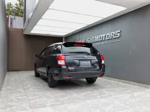 Toyota Corolla Fielder 2013 Black