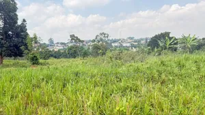 3 Acres of Land in Kira Behind Green Hill School