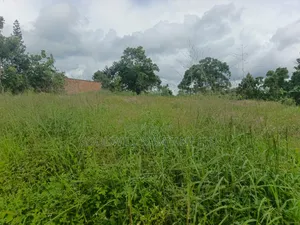 5 Acres of Land in Namaiba Mukono on Katosi Rd