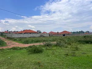 Half Acre 50 Decimals Plot of Land in Kitukutwe