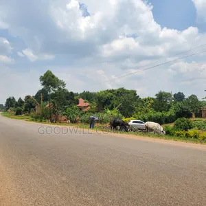 11 Acres of Land in Busiika Bulami on Zirobwe Rd