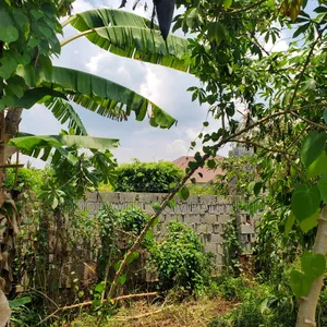 11 Acres of Land in Busiika Bulami on Zirobwe Rd