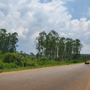 11 Acres of Land in Busiika Bulami on Zirobwe Rd